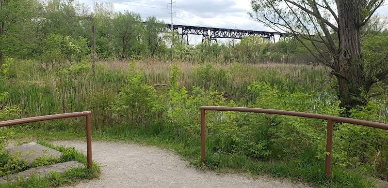 Blue Heron Boardwalk - Image 1