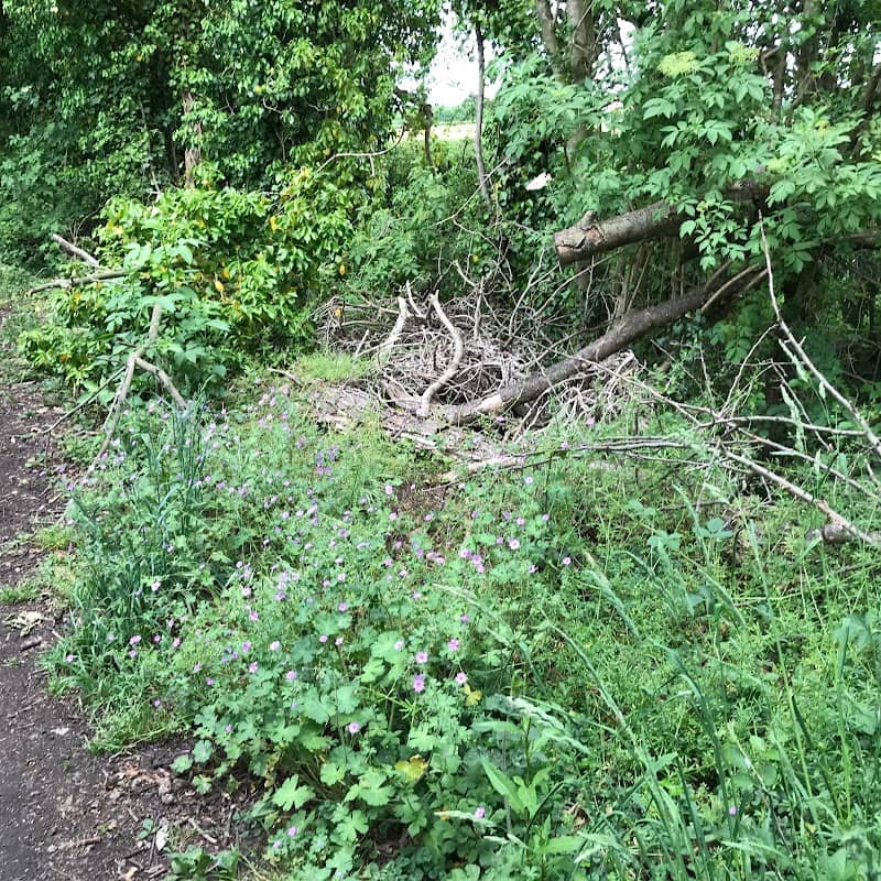 Colne Valley Local Nature Reserve - Image 1