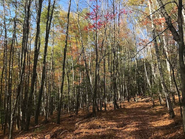 Up on the Hill Conservation Area - Image 1