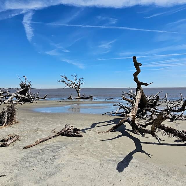 Jekyll Island State Park - Image 3