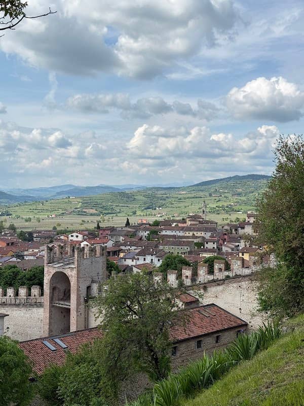 Belvedere su parco Zanella - Image 1