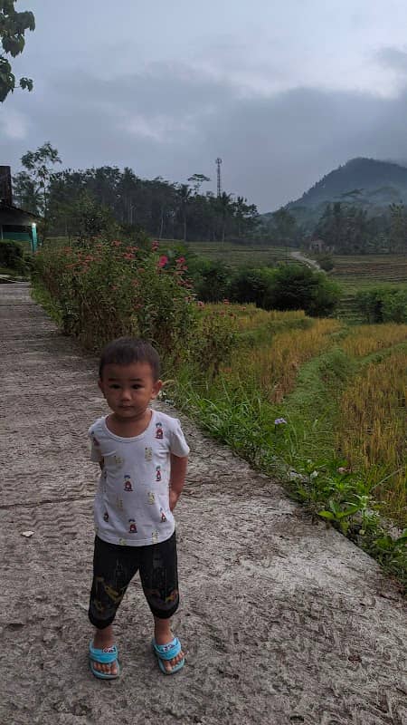 Bukit Papaw - Image 1