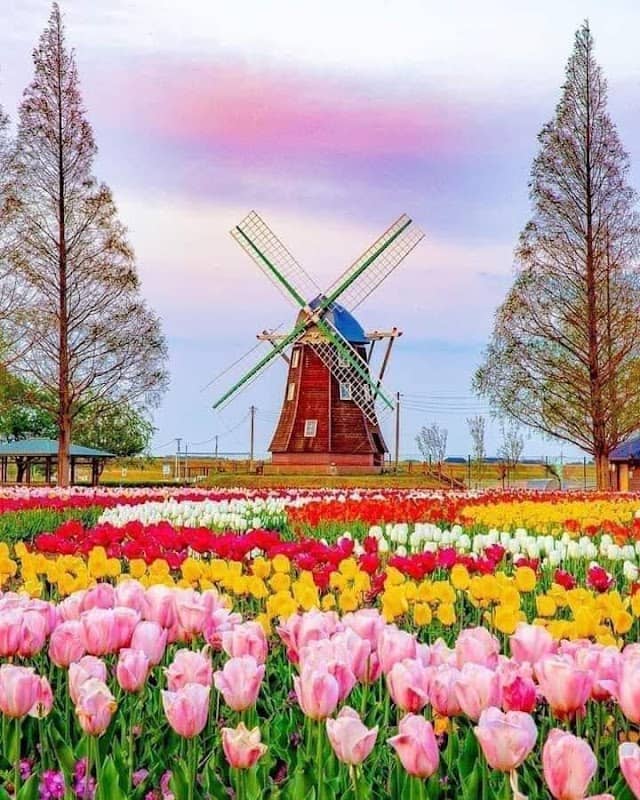 Akebonoyama Park - Image 1