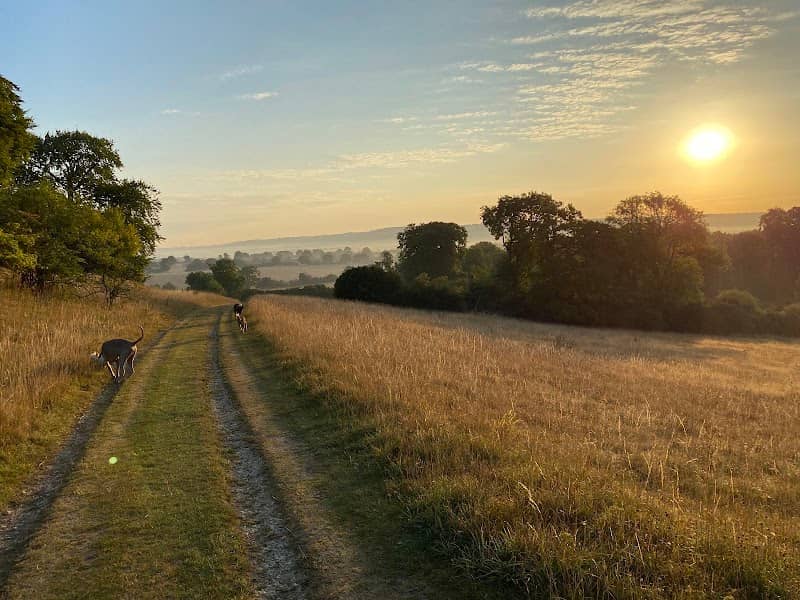 Chilterns National Landscape - Image 3