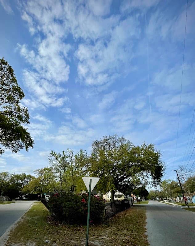 Phillips Park - Image 2