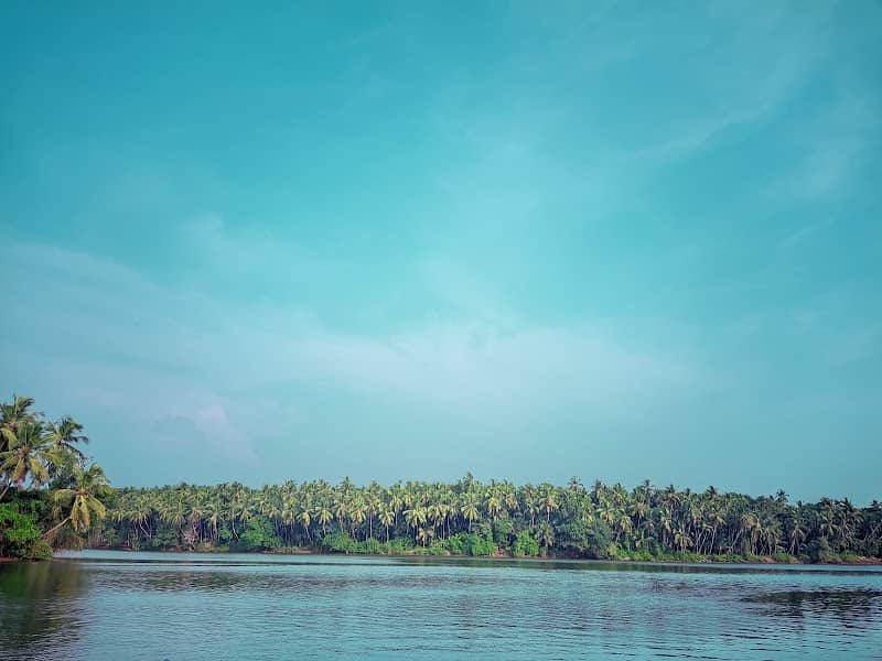 THURTHI ISLAND - Image 3