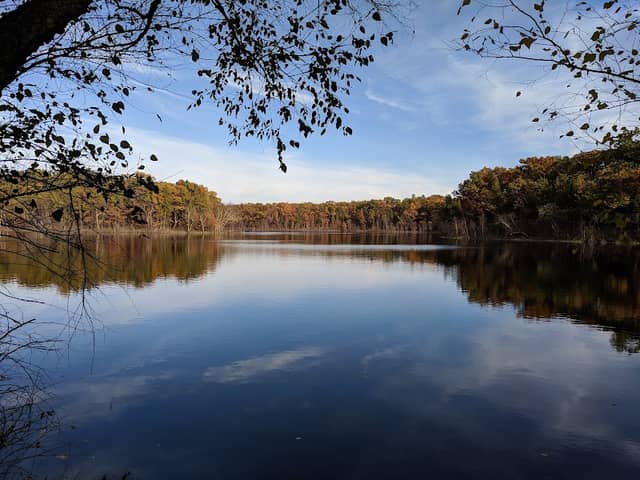Sohlberg Silver Lake State Natural Area - Image 1