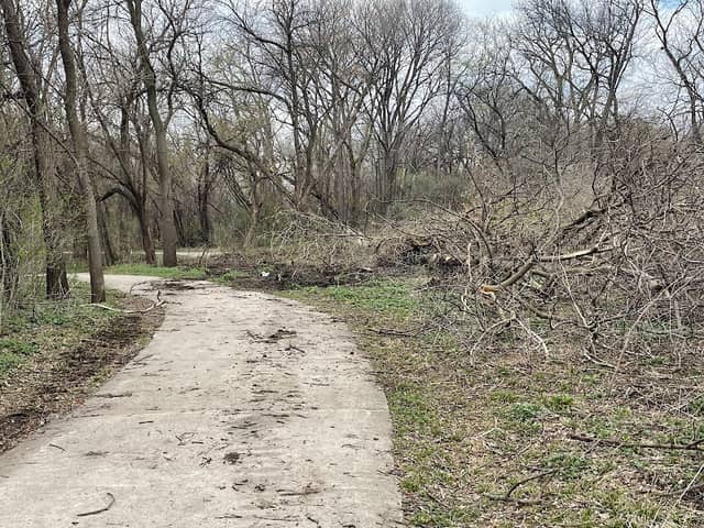 Cotton Park - Image 2