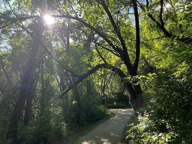 Cotton Park - Image 1