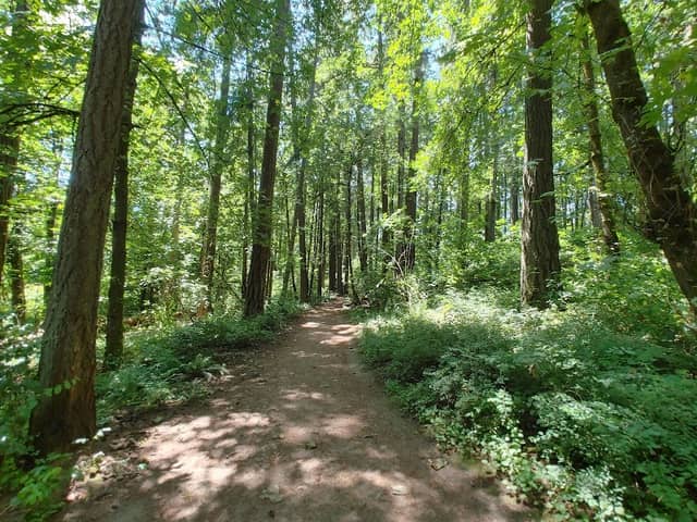 Bryant Woods Nature Park - Image 1
