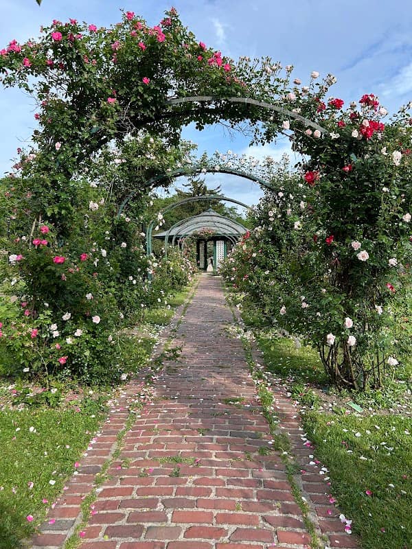 E.M. Mills Rose Garden - Image 1