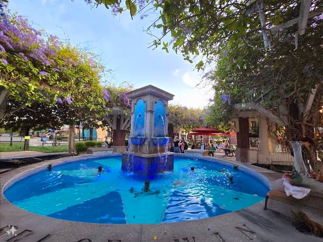 Winter Garden Fountain in the Median - Image 1