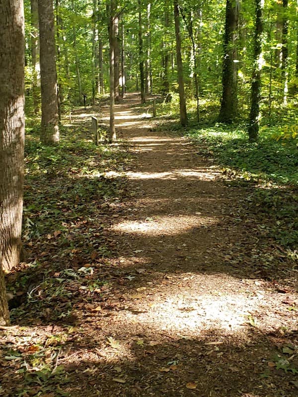 Beth Schmidt Park - Image 1