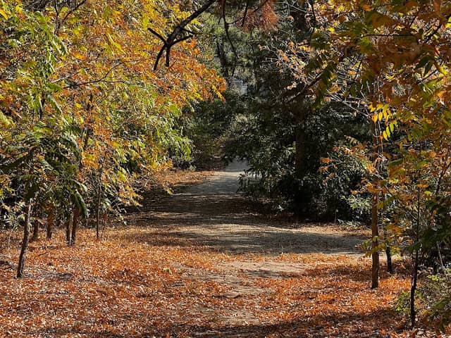 River Banks Orchard Park Loop - Image 1