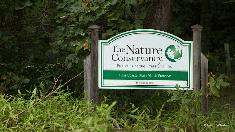 Ross Coastal Plain Marsh Preserve - Image 1