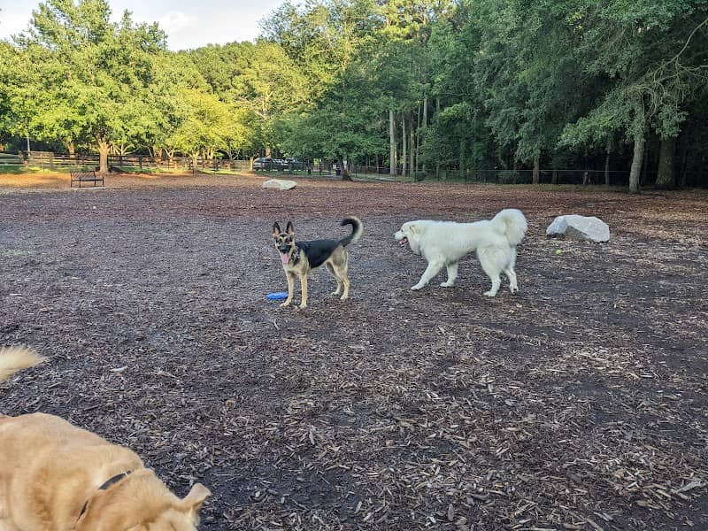 Lake Benson Dog Park - Image 2