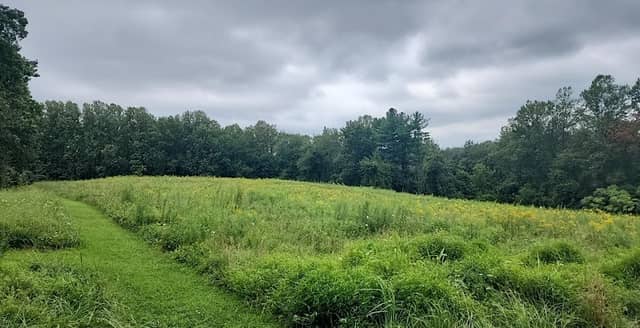 Charlotte’s Quest Nature Center - Image 1