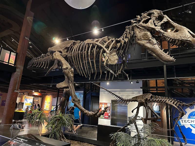 Houston Museum of Natural Science at Sugar Land - Image 1