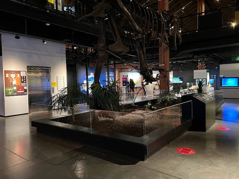 Houston Museum of Natural Science at Sugar Land - Image 2