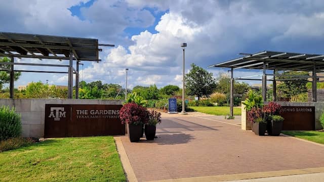 The Gardens at Texas A&M University - Image 3