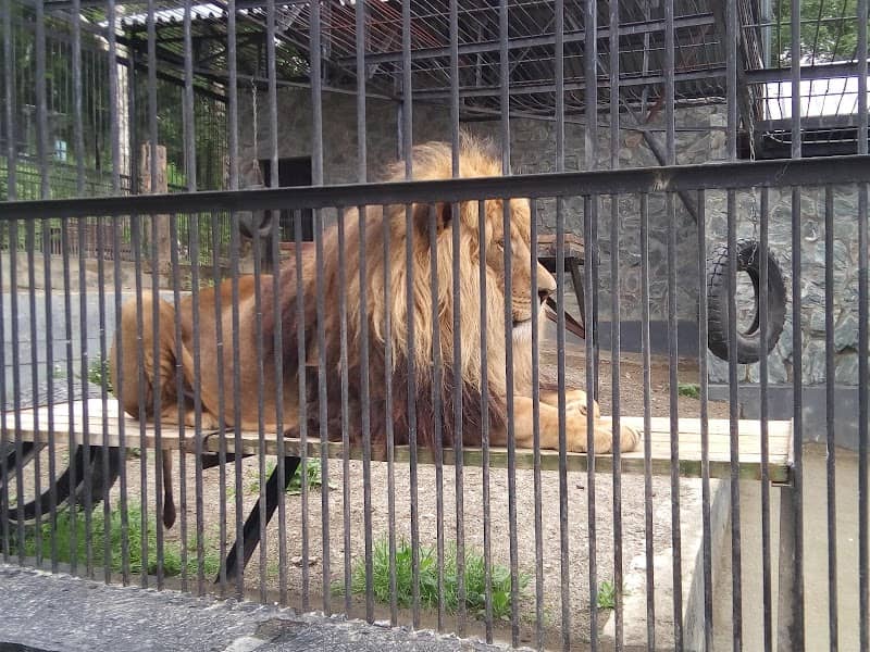 Sakhalinskiy Zoobotanicheskiy Park - Image 1