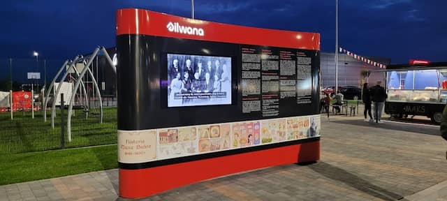 Silwana's multimedia exhibition - Image 2