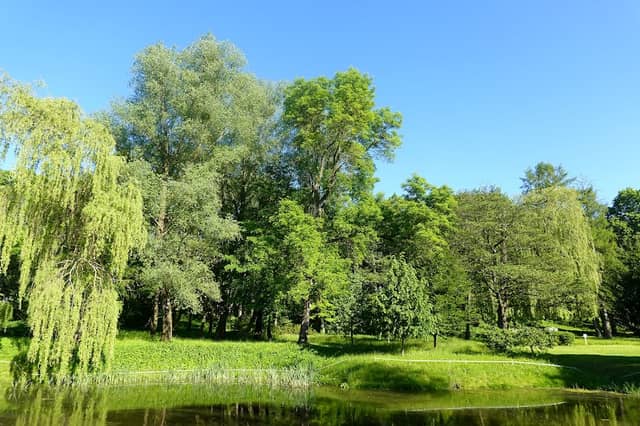 Park przy Centrum Rehabilitacji Osób Niepełnosprawnych - Image 1