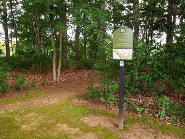 Helen Heyn Riverway - Image 2