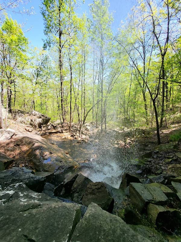 Crockford-Pigeon Mountain Wildlife Management Area - Image 1