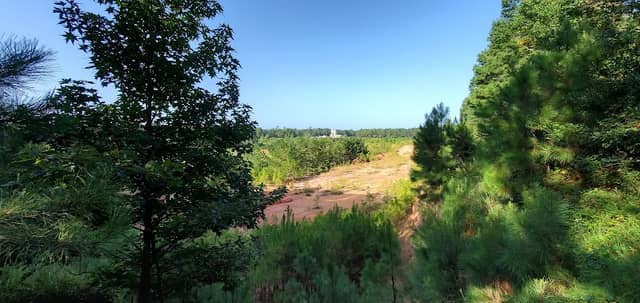 Pine Circle Park - Image 2