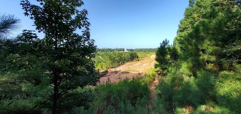 Pine Circle Park - Image 2