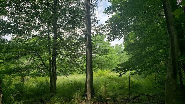 Touchstone Trail Head - Image 2