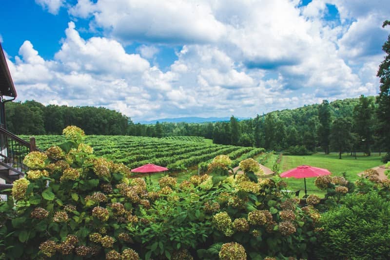 Engelheim Vineyards - Image 1