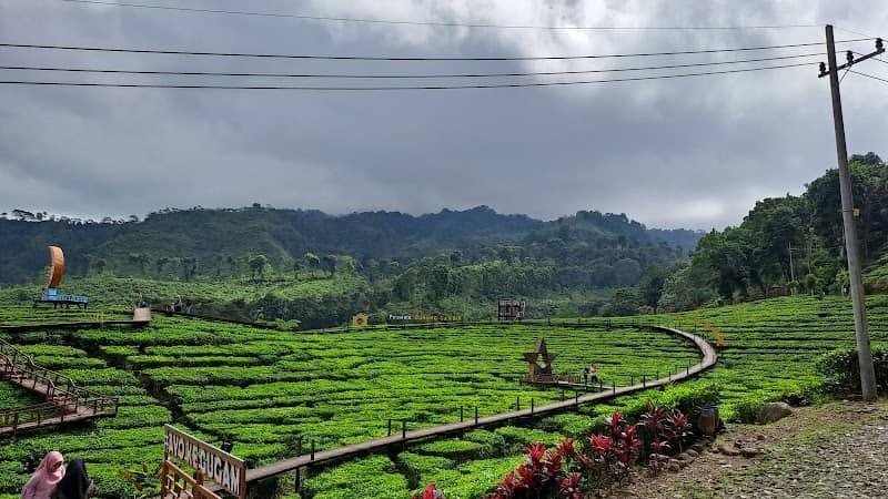 Wisata Agro Rengganis - Image 1