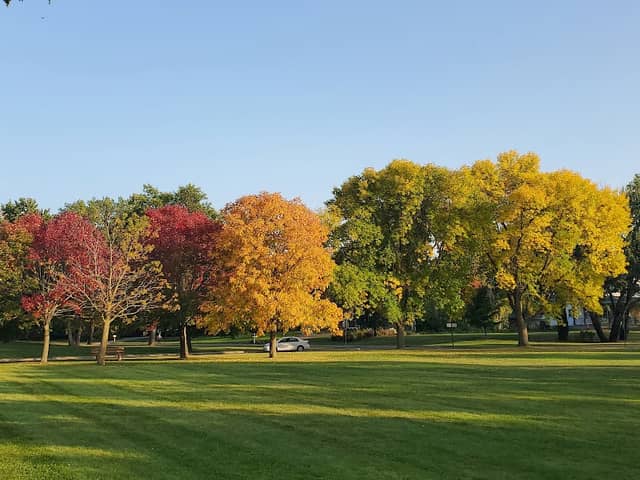 Circle Park - Image 2