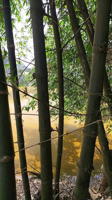Idam eco tourism park - Image 1