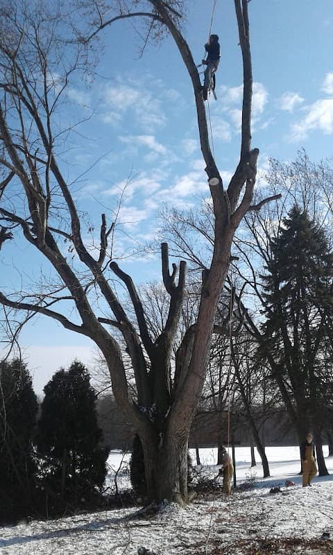 Lawndale Park - Image 1