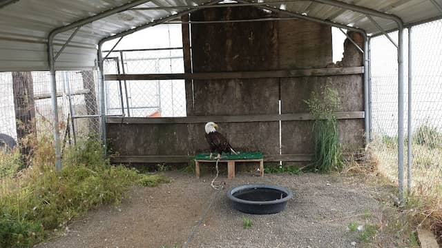 Blue Mountain Wildlife - Image 2