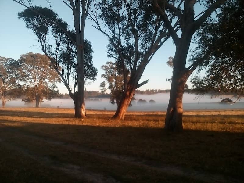 Laurina Park - Image 1