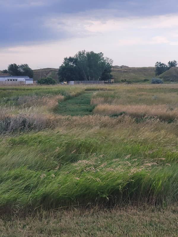 Grassland Trail - Image 1