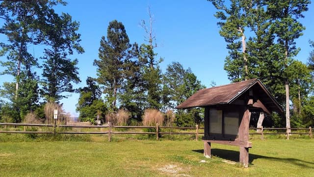 Neuse River Recreation Area - Image 1