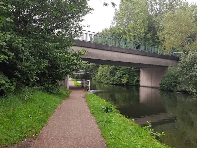 Fountains Wood - Image 1
