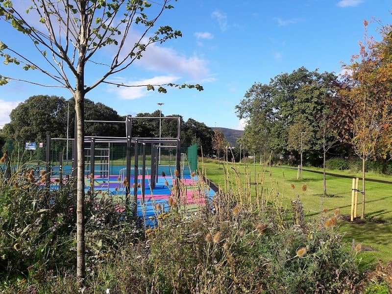 Haldane Inler, Recreation Ground - Image 2
