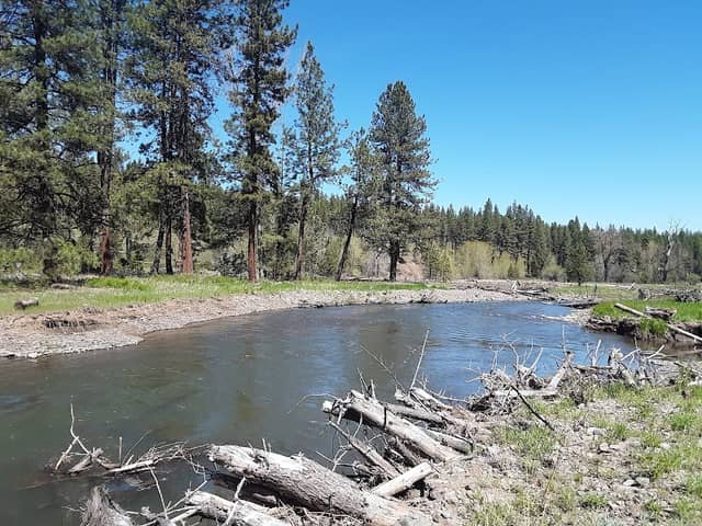 Bird Track Interpretative Trail - Image 1