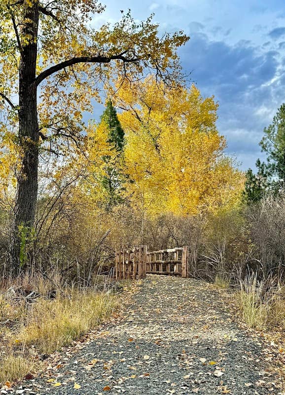 Bird Track Interpretative Trail - Image 2