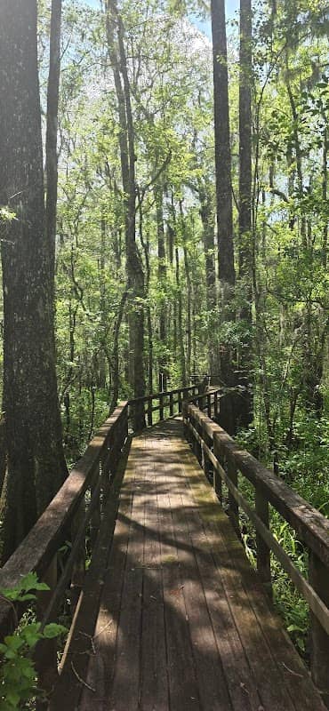 Edisto Nature Trail - Image 2