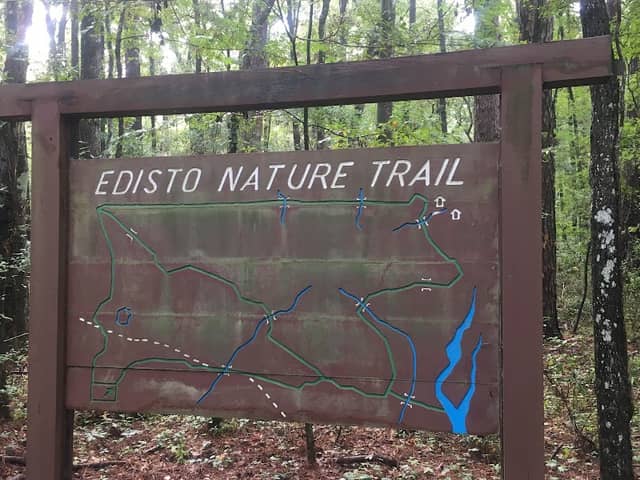 Edisto Nature Trail - Image 1