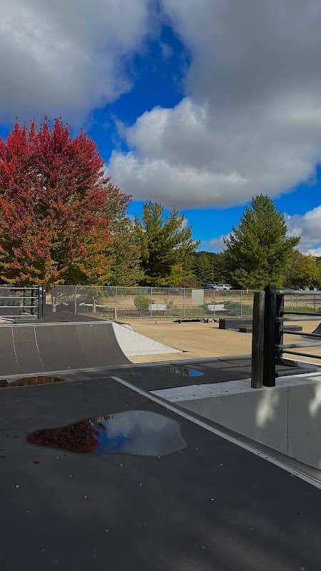 McKinley Park Skate Park - Image 1