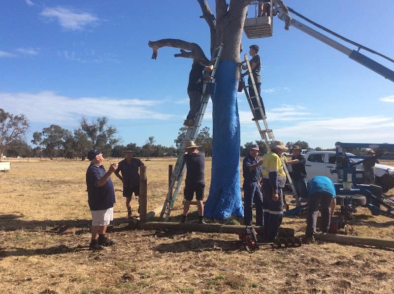 Baldivis Blue Tree - Image 1