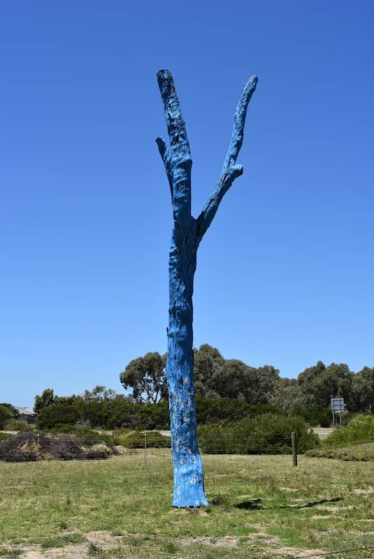 Baldivis Blue Tree - Image 2